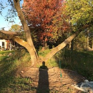 Meet your Posher, Terri